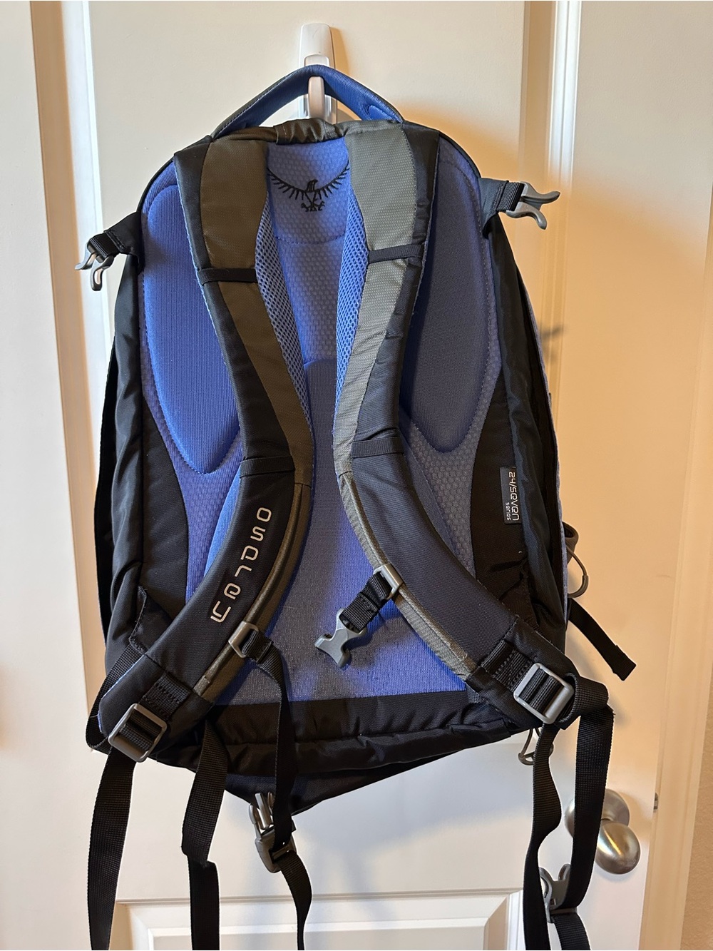 OSPREY Nova Black and Blue Women's Backpack - Picture 6 of 13